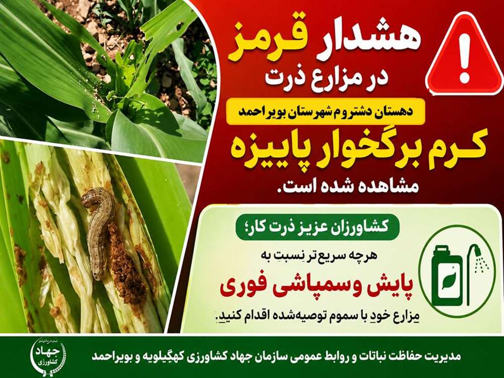 پوستر پروانه برگخوار پاییزه دشتروم 